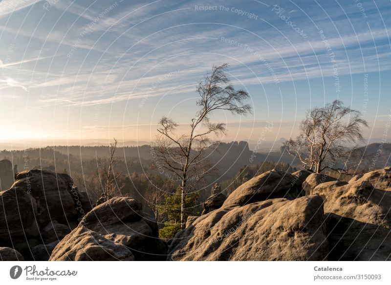 In the Elbe Sandstone the afternoon turns into evening, the rocks immerse themselves in warm light, the shadows become longer, the sky paler.