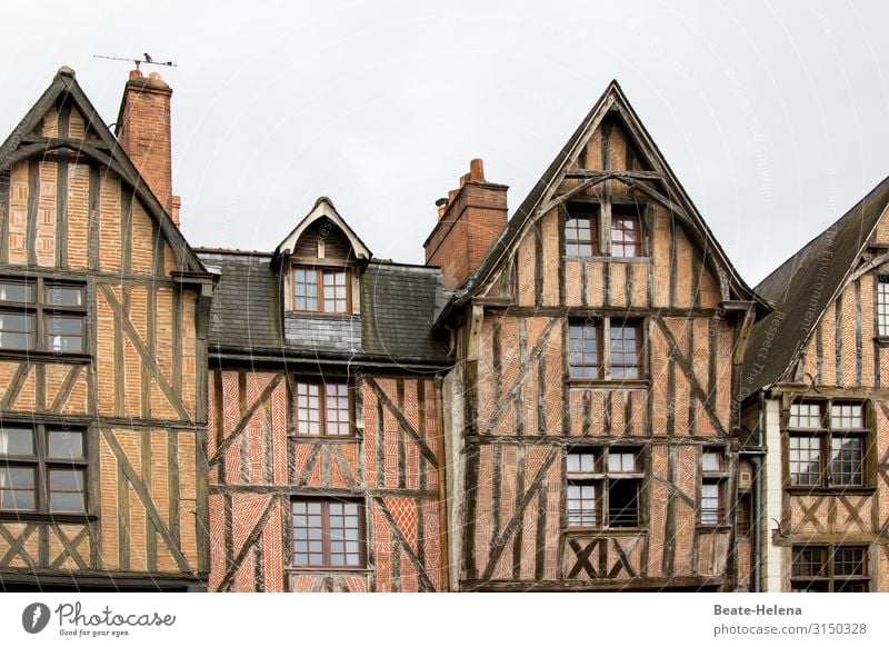 Along the Loire 5 France built Historic Old Half-timbered house Building Architecture Facade Old town Exterior shot Vacation & Travel Manmade structures