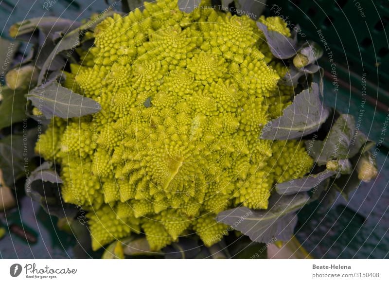 Tempting delicacies 6 Romanesco cauliflower Work of art Vegetable vegan Food Organic produce Nutrition