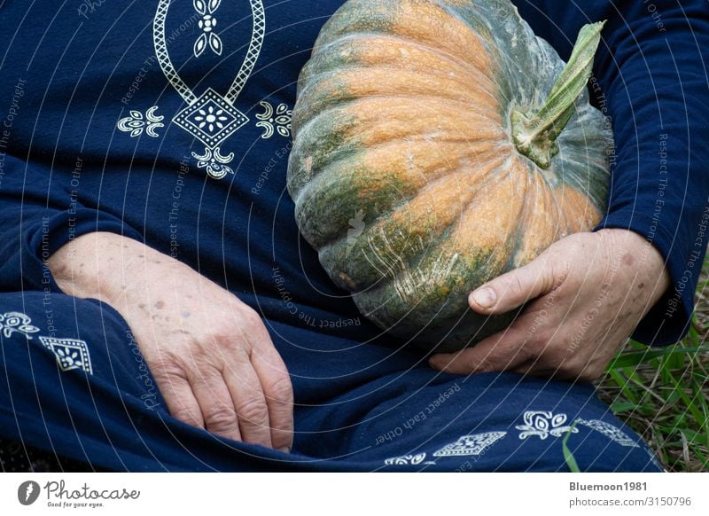 Detail shot of senior hand holding a pumpkin in left hand Vegetable Fruit Vegetarian diet Lifestyle Healthy Eating Leisure and hobbies Garden Hallowe'en
