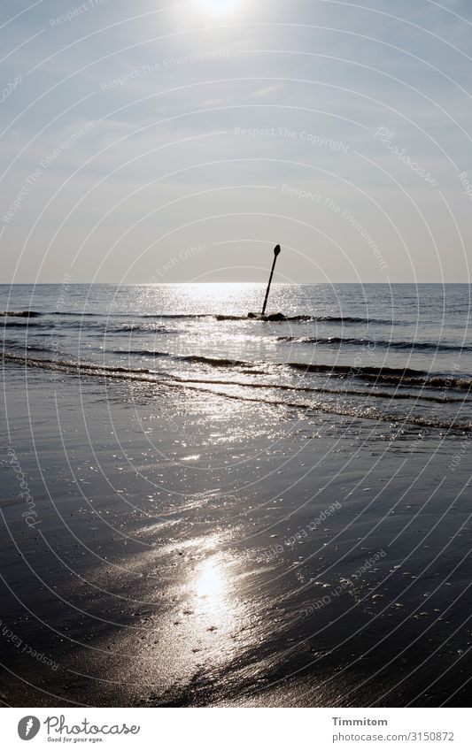 Sea air. Vacation & Travel Environment Nature Elements Water Sky Beautiful weather Coast Beach North Sea Netherlands Esthetic Bright Natural Blue Brown White