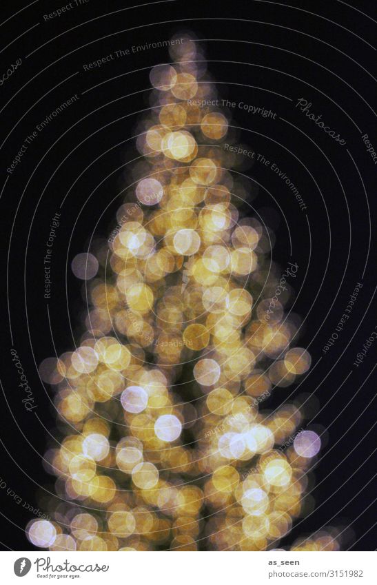 Christmas tree Feasts & Celebrations Christmas & Advent New Year's Eve Winter Tree Fir tree Spruce Illuminate Esthetic Glittering Large Modern Yellow Gold Black