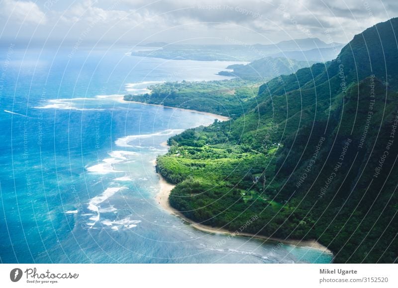 Aerial view of the abrupt and green Napali Coast in Kauai, US Beautiful Vacation & Travel Summer Beach Ocean Island Mountain Garden Nature Landscape Sky Tree