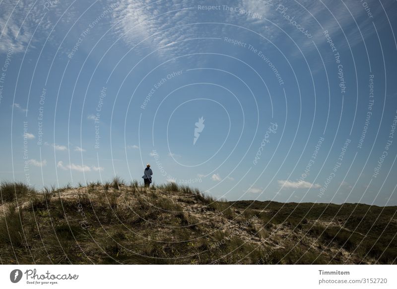 find peace Vacation & Travel Human being Woman Adults Environment Nature Landscape Plant Sky Beautiful weather North Sea Dune Lynvig Fyr Denmark Looking Happy