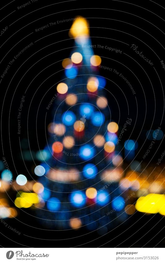 XXL X-mas tree Christmas & Advent Night sky Stars Winter Tree Dortmund Tourist Attraction Landmark Ornament Sphere Illuminate Multicoloured x-mas Fir tree