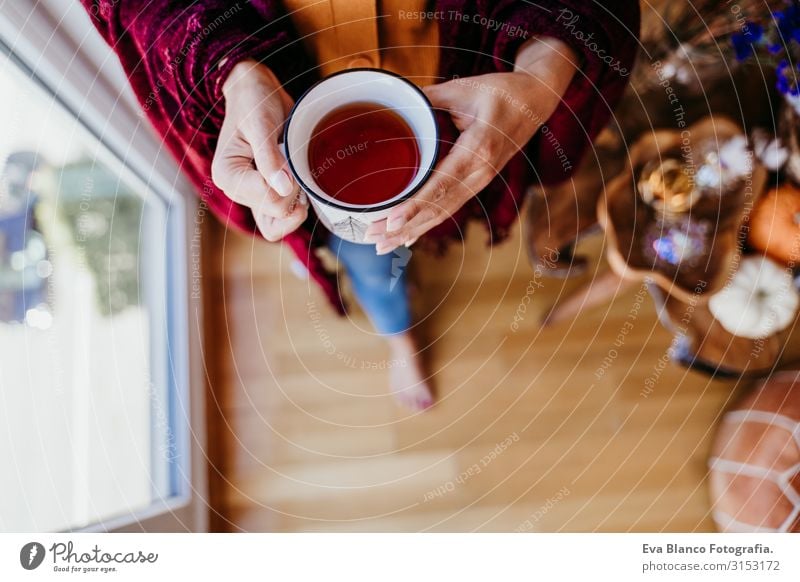 beautiful woman at home by the window, enjoying a cup of tea. lifestyle indoors, autumn season Woman Tea Coffee Home Morning Caucasian Lifestyle Interior shot