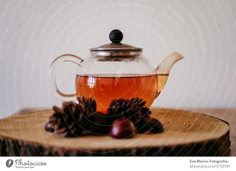 teapot with tea on a wood table. pineapples and chestnuts besides. Morning, daytime. Autumn season Teapot Chestnut Pineapple Brown Interior shot Deserted Home