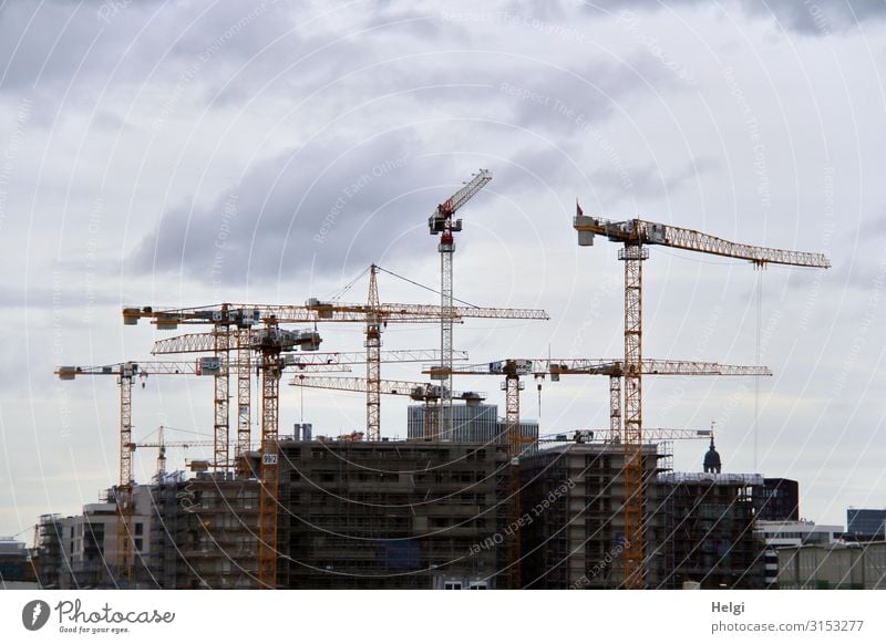 Large construction site with many high cranes in front of a grey cloudy sky Hamburg Manmade structures Building Architecture Construction site Stone Concrete