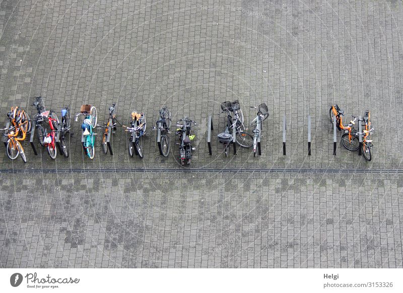 many bicycles stand connected on a large paved square, bird's eye view Hamburg Places Means of transport Cycling Bicycle Bicycle rack Bicycle lot Paving stone