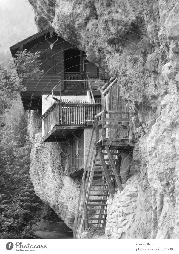 mountain holiday Wall (building) Hunter House (Residential Structure) Forest Mountain Hut Rock Nature B/W Black & white photo
