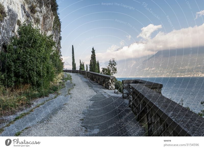 old road on the shores of Lake Garda Vacation & Travel Tourism Far-off places Summer vacation Sun Tunnel Relaxation Driving recreation car damaged decay