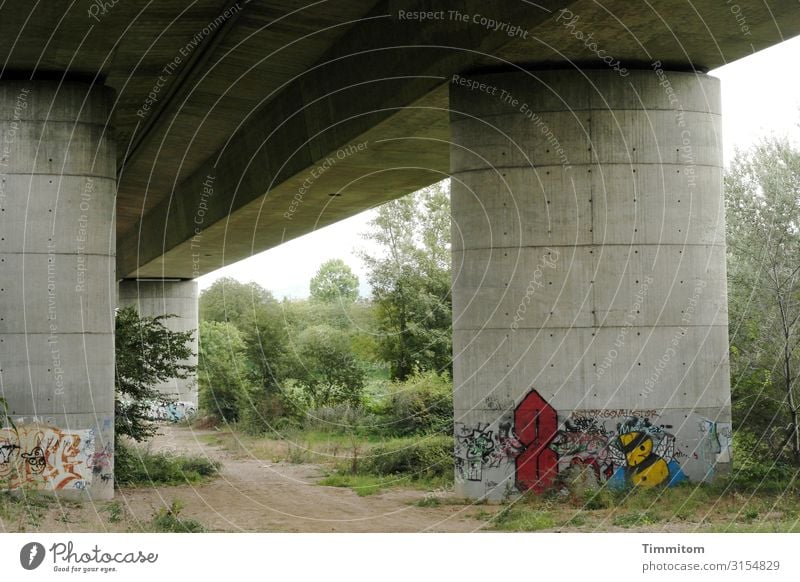 worlds Bridge Architecture Bridge construction Traffic infrastructure Graffiti colors Concrete shrubby Green trees Highway Manmade structures Lanes & trails