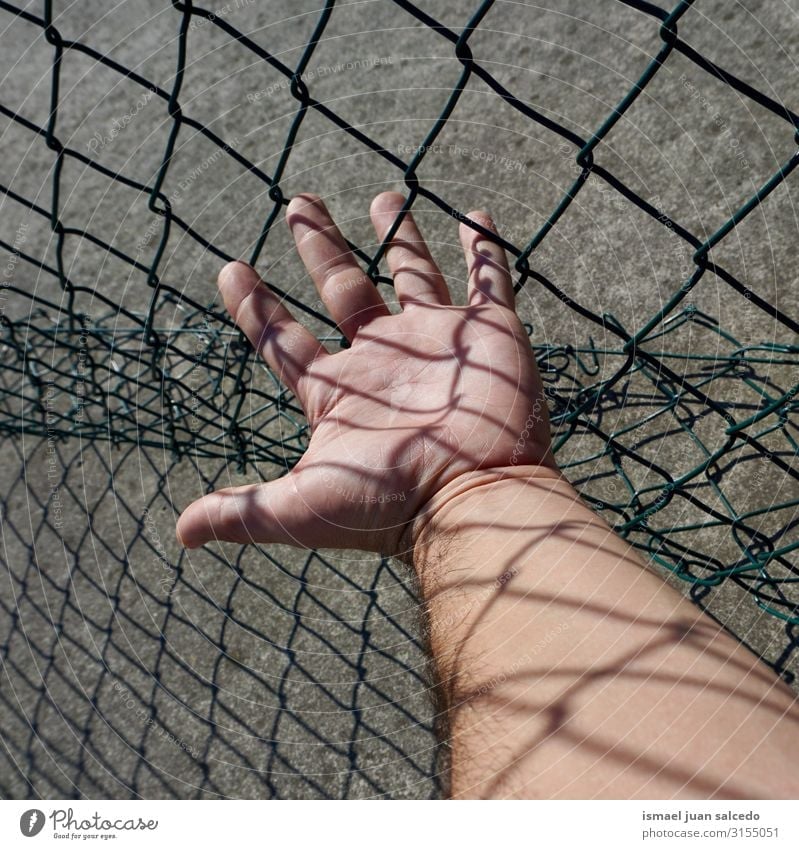 man hand grabbing a metallic fence Hand Fence Wire Safety (feeling of) Metal Protection Man Human being Fingers body part Arm Steel Street Exterior shot Freedom