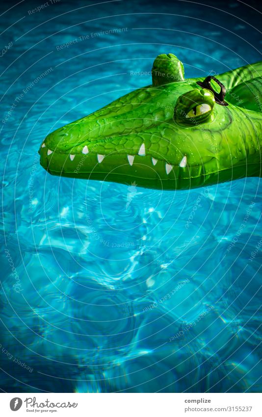 Inflatable crocodile in pool Joy Healthy Swimming pool Swimming & Bathing Vacation & Travel Tourism Expedition Summer Summer vacation Sun Sunbathing Beach Ocean
