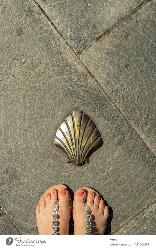 painted toenails in sandals in front of scallop sign Vacation & Travel City trip Summer vacation Woman Adults Feet 1 Human being Beautiful weather Town