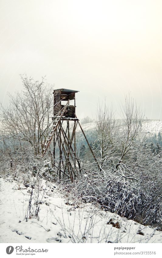 raised hide Hunting Vacation & Travel Far-off places Winter Snow Hunter Workplace Agriculture Forestry Environment Landscape Plant Cloudless sky Tree Field Hill