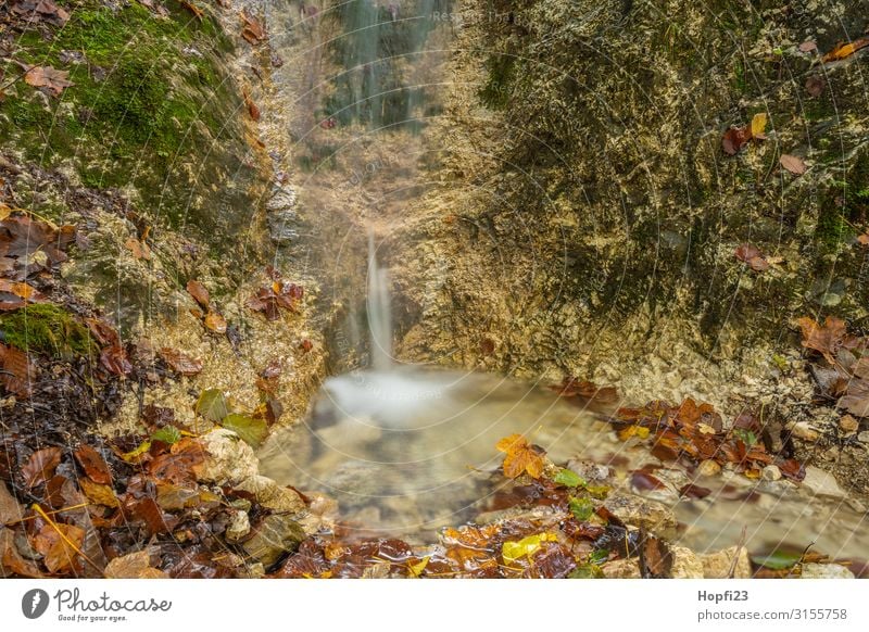 Small waterfall near Berchtesgaden Environment Nature Landscape Water Autumn Beautiful weather Moss Leaf Alps Mountain River Waterfall Fitness Going Walking