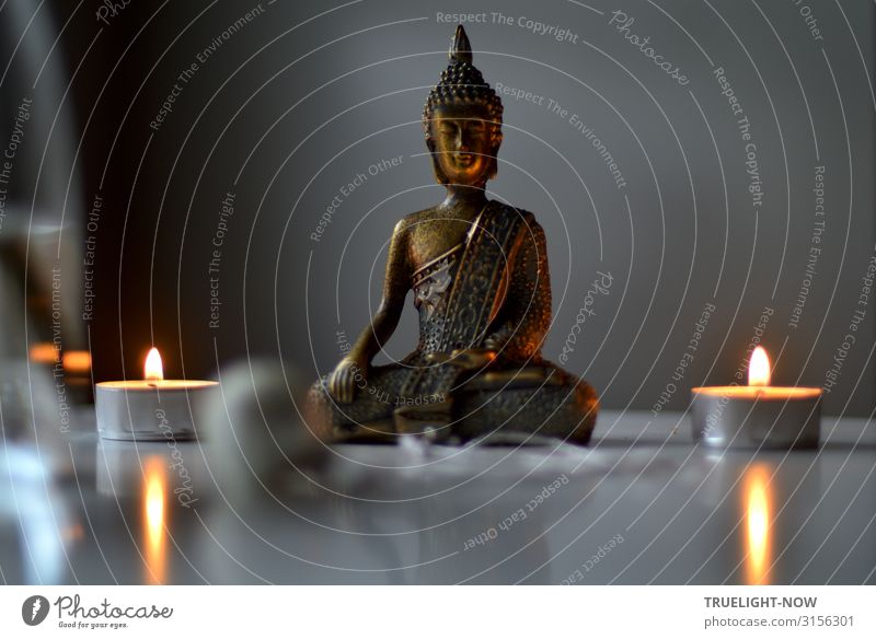 Weltschmerz | ...is also not a solution. Meditate with Buddha sculpture and 2 tea lights Style Happy Wellness Harmonious Well-being Contentment Relaxation Calm