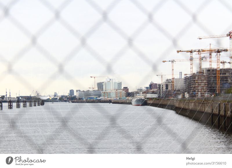 View through a fence to the Elbe, buildings and cranes of a construction site on the bank River bank Hamburg Port City Manmade structures Building Architecture