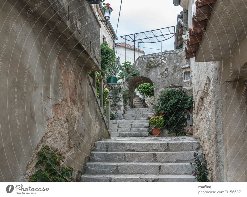 Croatia 2015 Brsec Village Old town Wall (barrier) Wall (building) Stairs Blue Brown Gray Green Relaxation Vacation & Travel Calm Colour photo Subdued colour