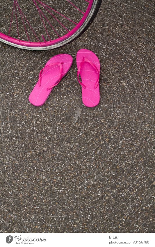 A pair of fancy pink flip flops, standing abandoned on the asphalt of the road in summer, in front of a pink bicycle tire, waiting for their owner.