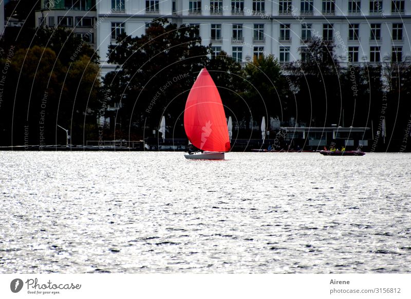 Courage to color | UT Hamburg Lakeside Town Port City Populated Facade Inland navigation Sailboat Movement Esthetic Exceptional Elegant Fresh Speed Gray Red Joy