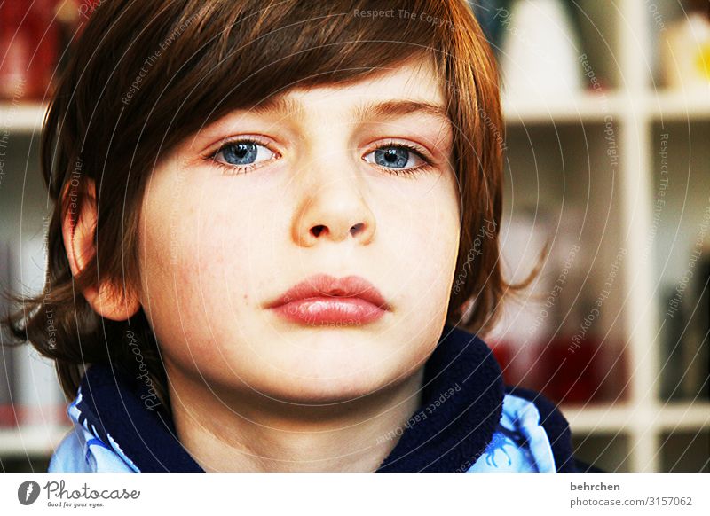 . expectant Expectation Dream Love Interior shot Colour photo pretty observantly blue eyes Close-up Child Boy (child) Family & Relations Infancy Eyes Nose Mouth