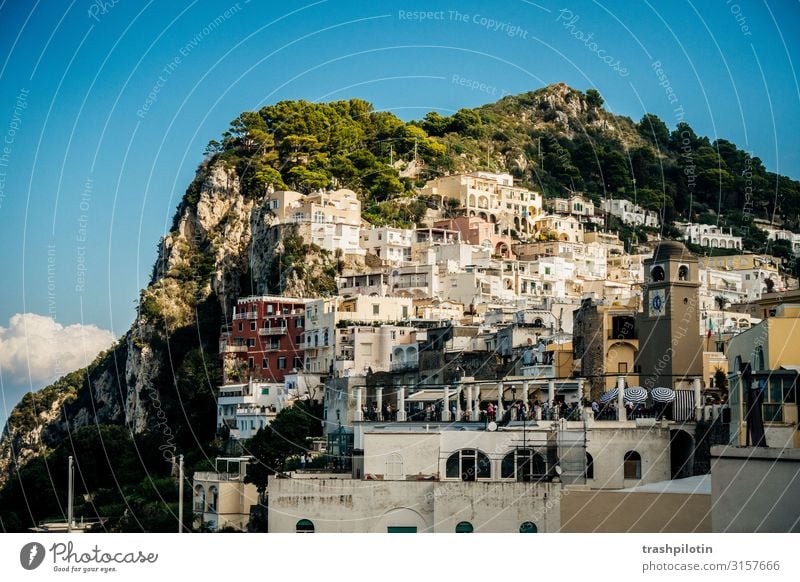 Capri Port Vacation & Travel Tourism Trip Adventure Far-off places Freedom Sightseeing Cruise Italy Europe Port City Tourist Attraction Rock Colour photo