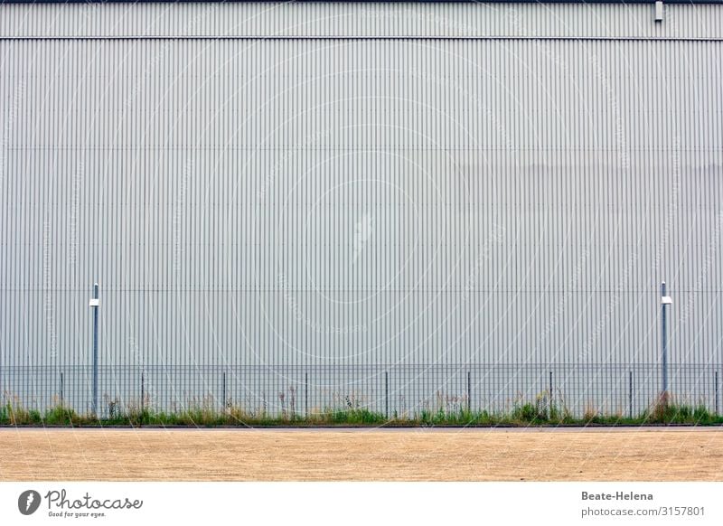 Striped 1 lines Structures and shapes Lines and shapes Minimalistic Wall (building) Arrangement Facade