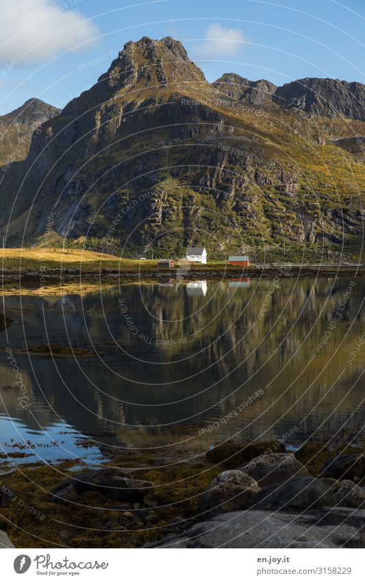 Close to nature Vacation & Travel Far-off places Freedom Environment Nature Landscape Autumn Beautiful weather Rock Mountain Fjord Norway Scandinavia Lofotes