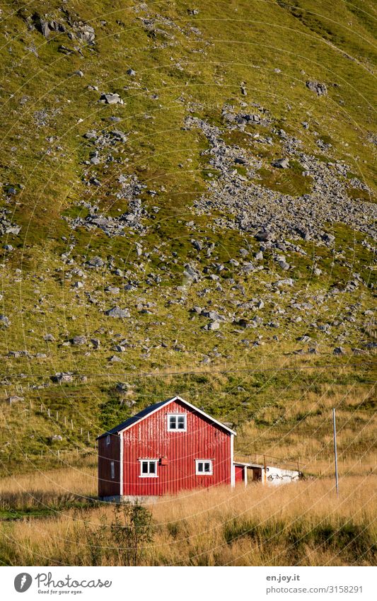 House in front of the mountain Vacation & Travel Grass Meadow Hill Norway Scandinavia Nordland Lofotes House (Residential Structure) Detached house Hut Facade