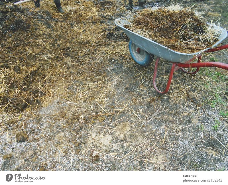 A pile of crap. Manure heap Feces Farm Dirty Malodorous Country life Agriculture Exterior shot Wheelbarrow Rural Livestock Barn Farm animal Cow Swine Cowshed