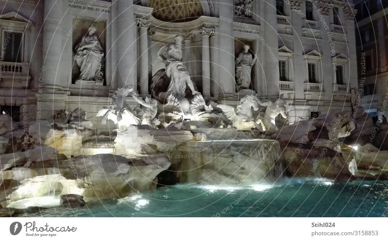 Fontana di Trevi II Style Joy Happy Vacation & Travel Tourism Sightseeing City trip Artist Work of art Sculpture Rome Italy Capital city Places