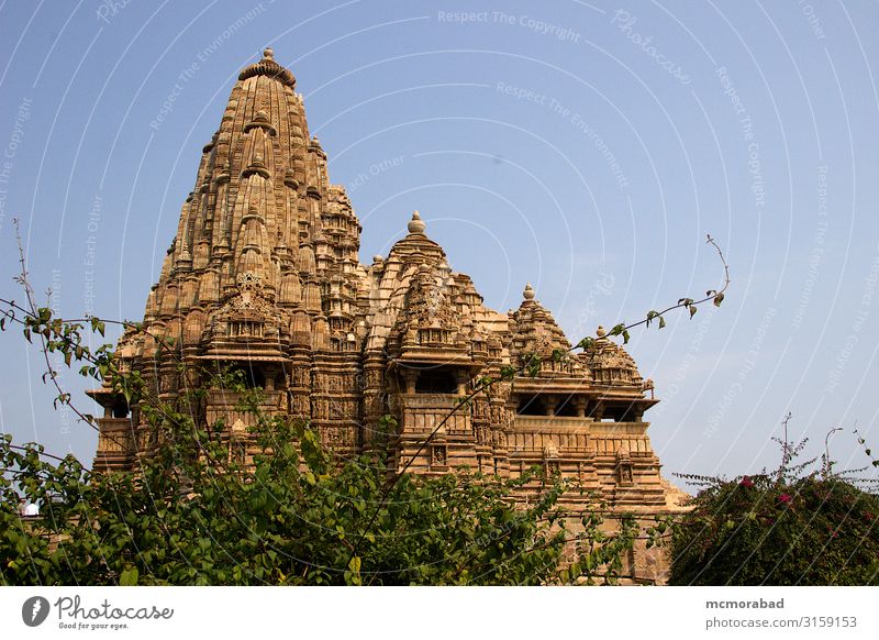 Temple behind Foliage, Khajuraho Vacation & Travel Nature Plant Sky Leaf Building Architecture Esthetic Belief Religion and faith horizontal orientation