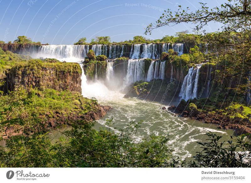 Iguazu Vacation & Travel Tourism Adventure Expedition Environment Nature Landscape Plant Animal Cloudless sky Beautiful weather Tree Virgin forest Waves