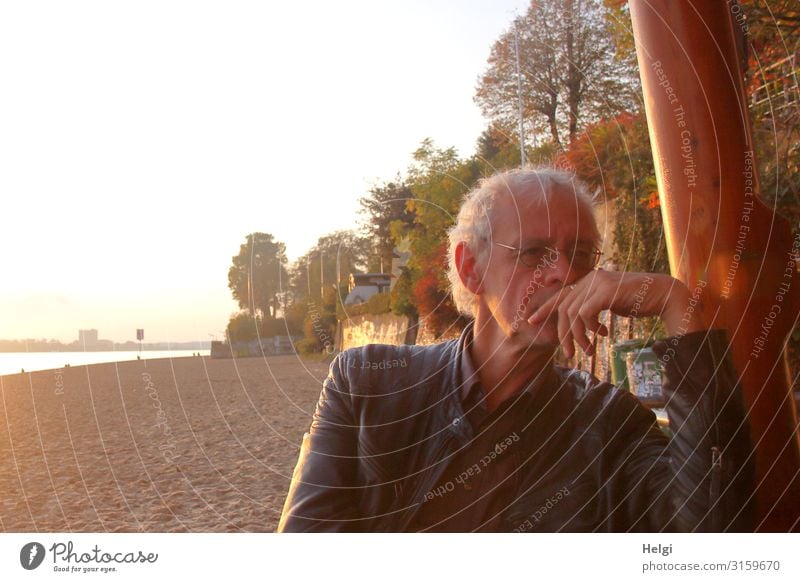 male senior sits thoughtfully in the evening sun on the Elbe beach Human being Masculine Man Adults Male senior Senior citizen 1 45 - 60 years Environment