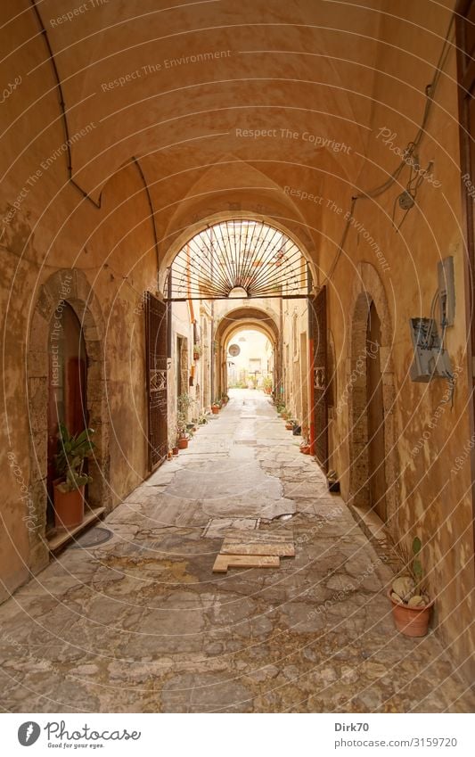 Narrow lane in Siracusa Living or residing Flat (apartment) Syracuse Sicily Italy Town Downtown Old town Deserted House (Residential Structure) Wall (barrier)