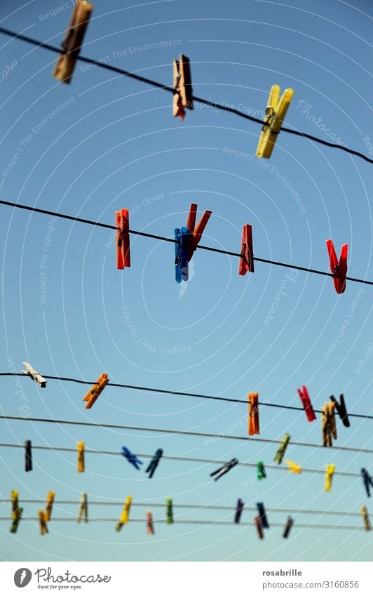 Clothesline | rope shaft Clothes peg clothespin Sky Blue Hang up variegated Empty Wait staples Dry garments Air Airy Wash Holder housework Household stop neat