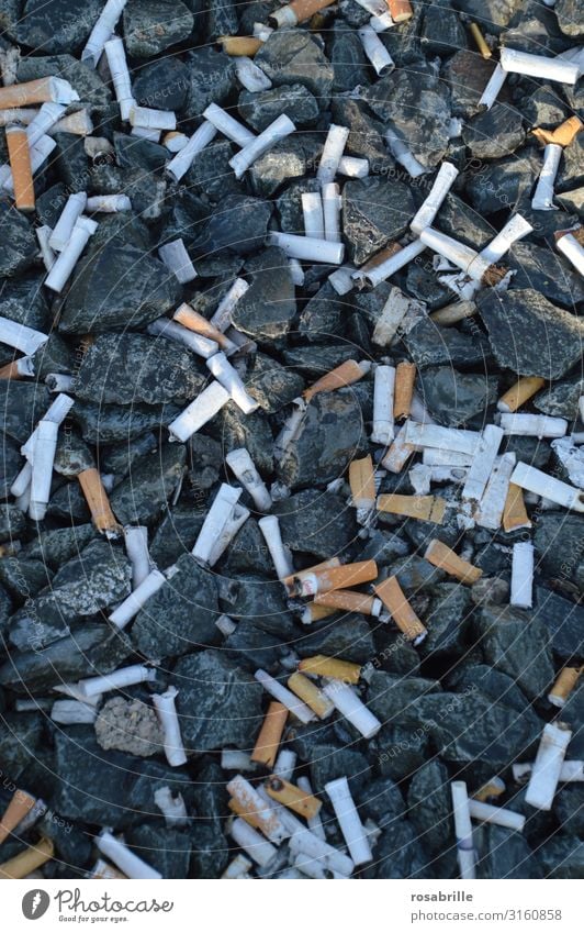 Cigarette butts ;Trash! 2019 Luxury Smoking Vice Orderliness Cleanliness Egotistical Drug addiction Decadence Environmental pollution Bans Destruction