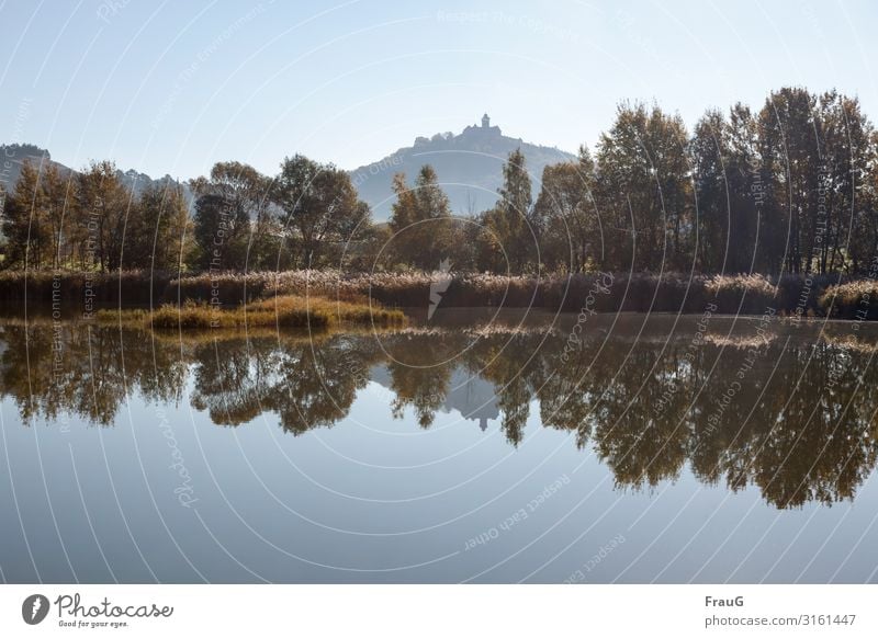 Reflection at the lake Landscape Nature Lakeside Calm grasses trees castle vest wachsenburg Thuringia reflection Sunlight Beautiful weather Cloudless sky Autumn