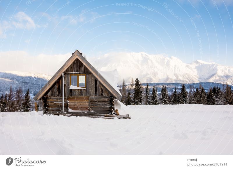 winter vacation Vacation & Travel Tourism Adventure Winter Snow Winter vacation Beautiful weather Ice Frost Alps Mountain Snowcapped peak Hut Simple Cold Blue