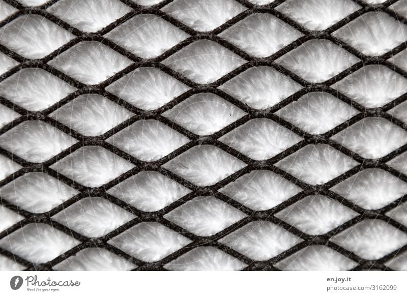 behind bars Winter Ice Frost Snow Cold Ice crystal Grating Metal grid Colour photo Subdued colour Exterior shot Close-up Detail Abstract Pattern