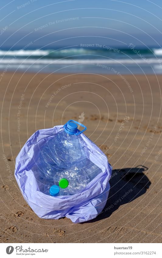 plastics cleaning the beach Bottle Lifestyle Beach Ocean Woman Adults Hand Environment Nature Landscape Sand Coast Dog Package Plastic Sustainability Clean Blue