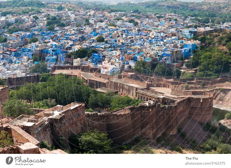 Jodhpur and Meherangarh Fort Summer Tree Hill Jodphur Rajasthan India Asia Town Downtown Old town Deserted House (Residential Structure) Castle Ruin