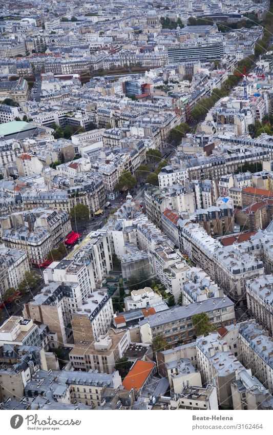 Above the rooftops of Paris 2 Lifestyle City trip Living or residing House (Residential Structure) Fireside Going out Workplace Economy Industry Trade