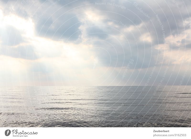 Sky over silvery sea and sea Nature Elements Air Water Clouds Sunlight Weather Waves Baltic Sea Ocean Looking Far-off places Glittering Infinity Maritime Gray