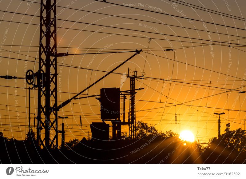 Sunset track systems Transport Means of transport Traffic infrastructure Rail transport Train travel Railroad Esthetic Overhead line Colour photo Exterior shot