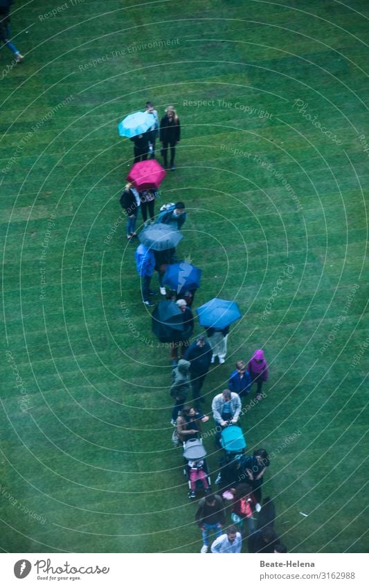 Snakes of all kinds 1 queue of people Rain Umbrellas Exterior shot Weather Lawn Green Queue Wet