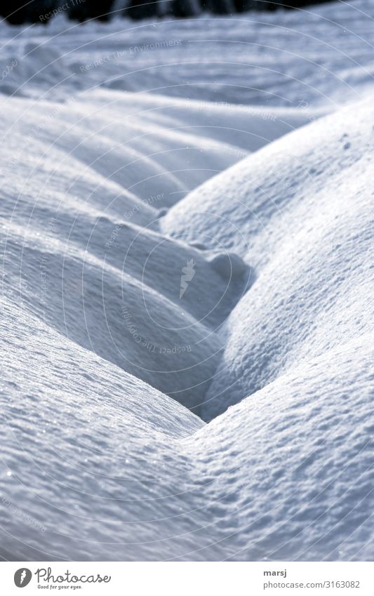 Two blankets of snow met Winter Ice Frost Snow Snow layer Cold Natural Loneliness Dig Colour photo Subdued colour Exterior shot Abstract Deserted Copy Space top