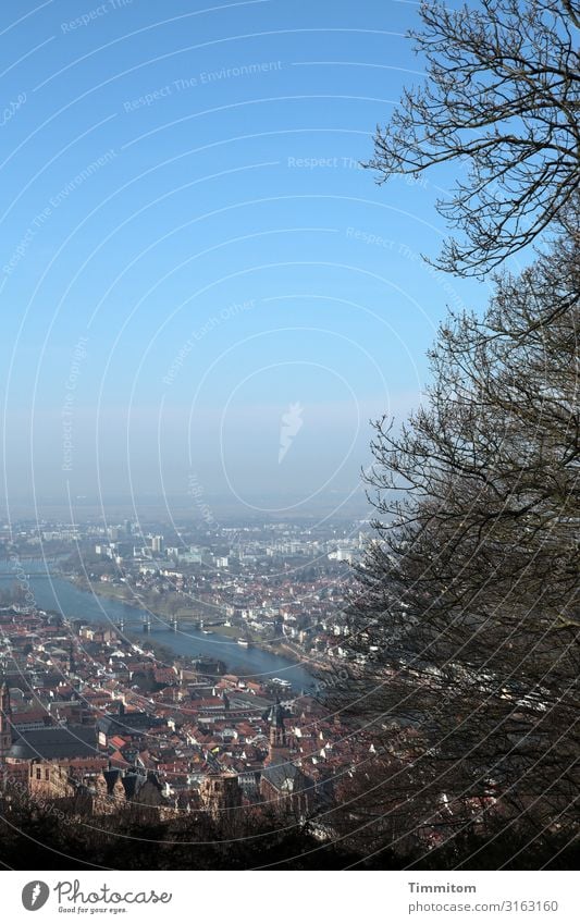 Source of danger | Heidelberg view Town Neckar trees Sky Blue Horizon Far-off places Cliche Heart lost source of danger Exterior shot Colour photo Deserted Haze